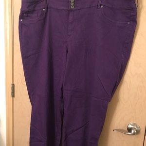 Torrid Royal Purple Jeans